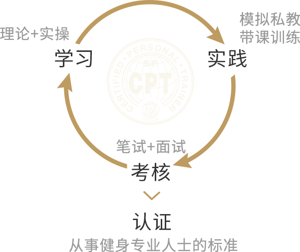 赛普健身