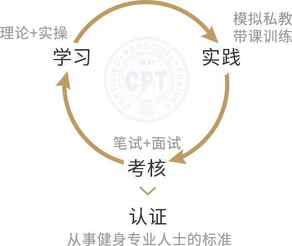 赛普健身
